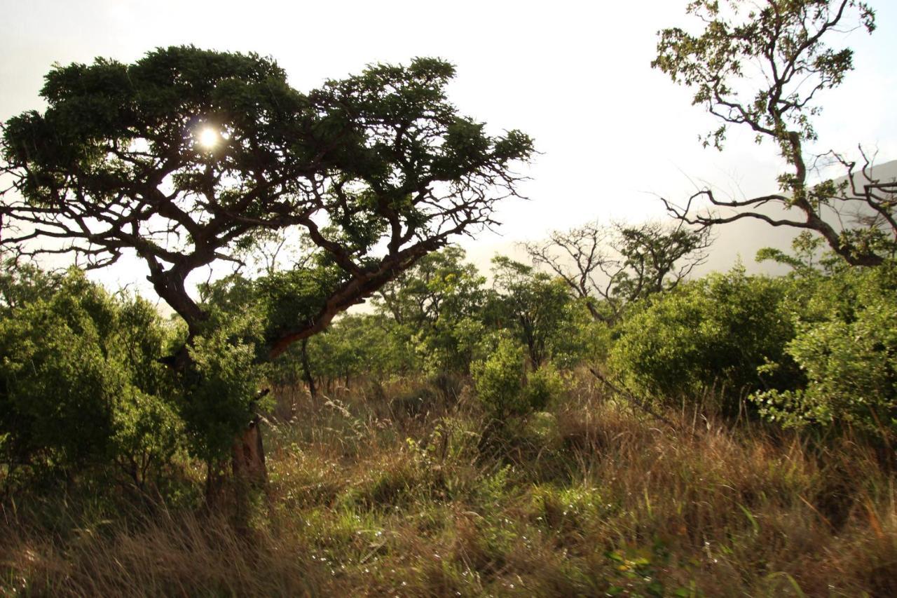 Sofala Lodge モコパネ エクステリア 写真